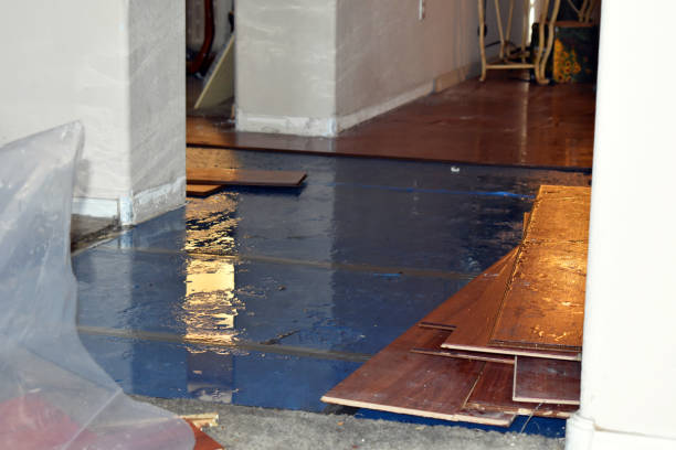 Professional Basement Flood Cleanup technician working in Pelham, NH